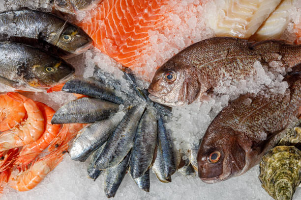 istock Fresh Seafood Beautifully and Artfully Arranged on Ice for Delightful Culinary Experience 2176801827