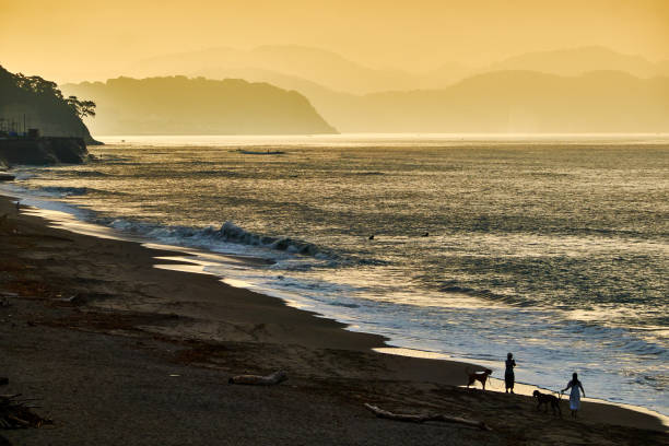istock Scenic view of beach during sunrise during sunrise 2176803414