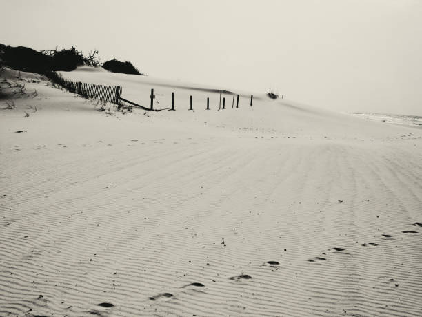 Man in gray shirt strolling by wooden pier on sandy beach. Calm ocean waves hitting shore.