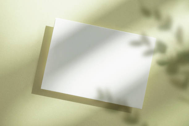 istock Light and Plant Shadows and Card Mock-Up 2176818931