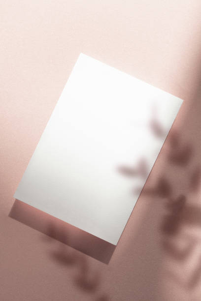 istock Light and Plant Shadows and Card Mock-Up 2176818942