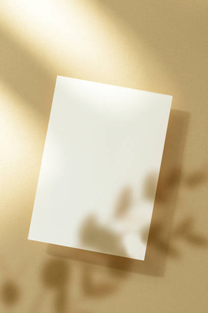 istock Light and Plant Shadows and Card Mock-Up 2176818953