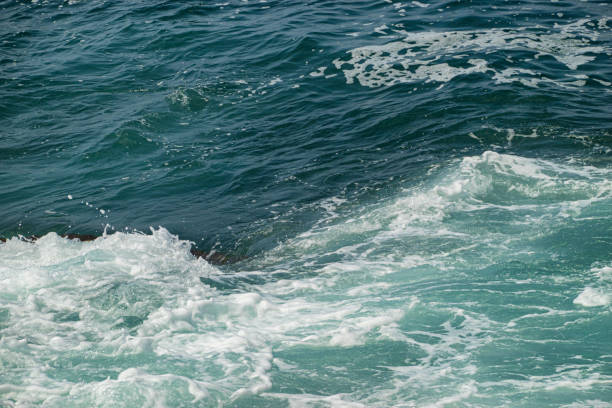 istock Surface of the Atlantic Ocean 2176821119