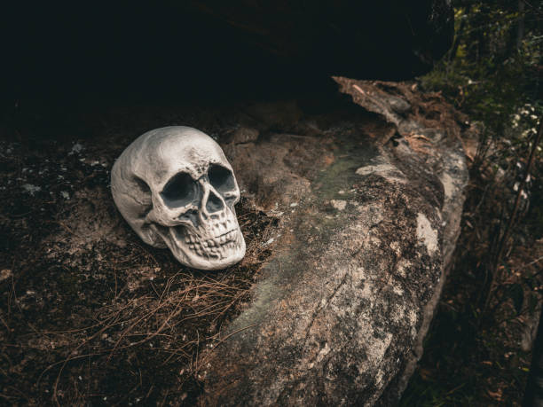 istock Halloween Skull, Mystery. Tropical background. Spooky time. 2176840365