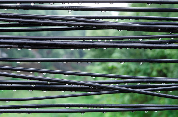 There are many water droplets on the data communication line on rainy days