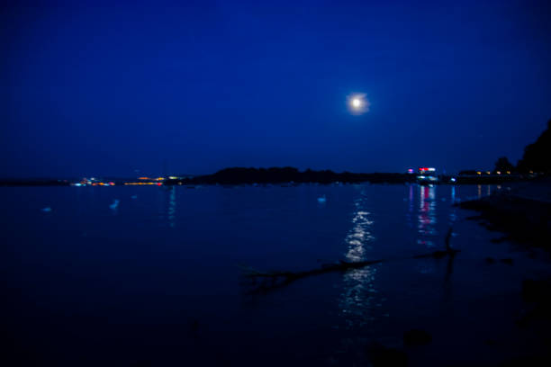 istock Danube river at night in Beograd 2176856764