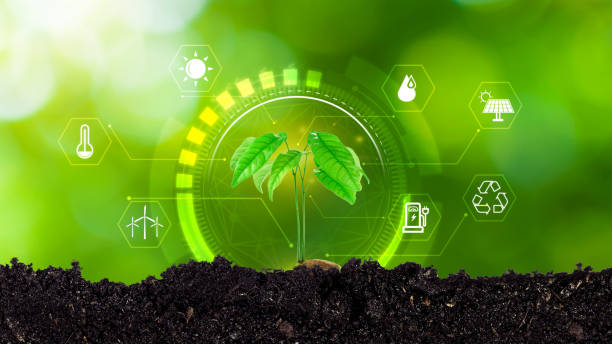 istock Young plant Seedling growing at sunlight, Environmental and ecology concept, sources for renewable and sustainable development, Digital technology agriculture and smart farming concept. 2176867800