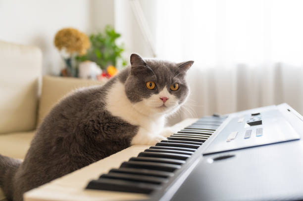 Old piano on sunny day