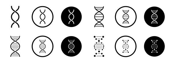 ilustrații de stoc cu set de molecule de adn. pictograme adn setate pe fundal alb. ilustrație vectorială adn. - adn