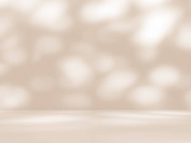 istock Empty brown cream beige room studio with shadow of leaves for product presentation. 2176873907