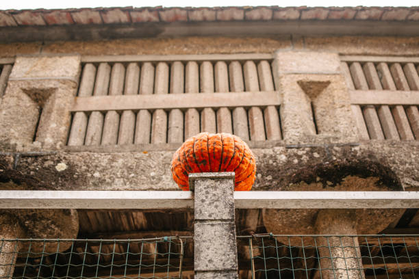 istock Pumpkin in front of a granary 2176874429