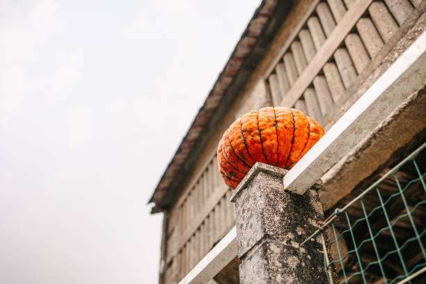 A pumpkin rests on a fence adorned with an autumn leaf garland with a blue sky in the background.