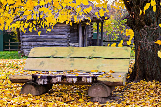 Rustic wooden bench beneath tree with yellow autumn leaves. Cozy blanket lies on bench, and wooden lodge is visible in background