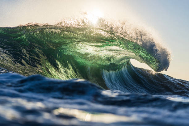 istock Wave breaking in the ocean with dramatic golden light at sunrise 2176877368