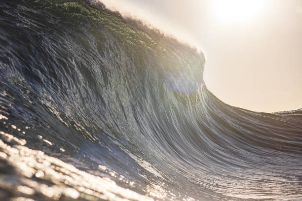 istock Wave breaking in the ocean with dramatic golden light at sunrise 2176877848