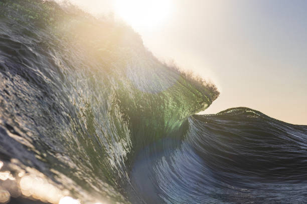 istock Wave breaking in the ocean with dramatic golden light at sunrise 2176877896