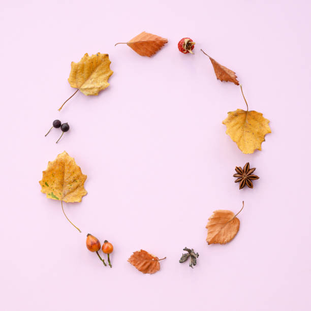 istock Autumn leaves and decoration in circle arrangement 2176878557
