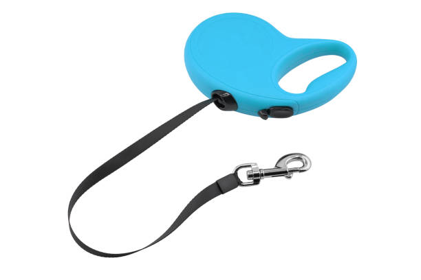 Retractable leash for dog isolated on white background. Dog retractable leash with plastic body and a metal clasp isolated.