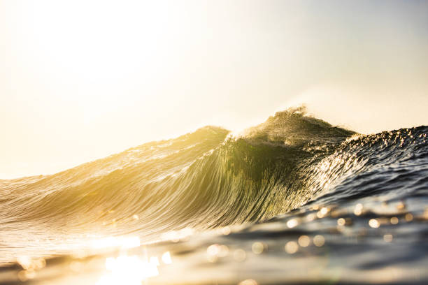 istock Wave breaking in the ocean with dramatic golden light at sunrise 2176879910