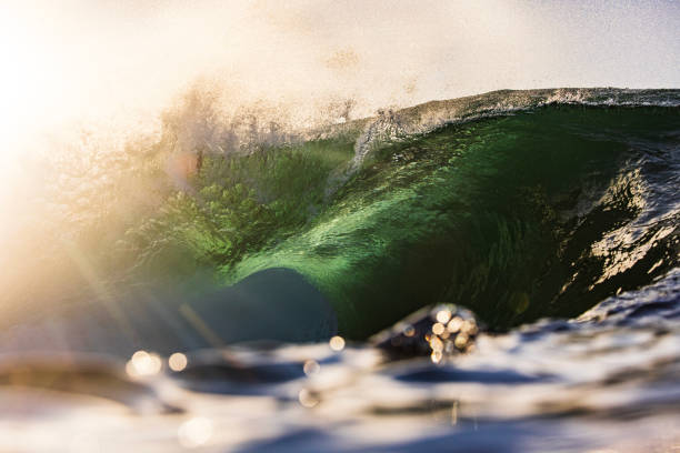 istock Wave breaking in the ocean with dramatic golden light at sunrise 2176880958