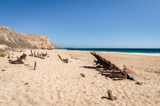 Ethel Wreck Beach on a bright day, South Australia