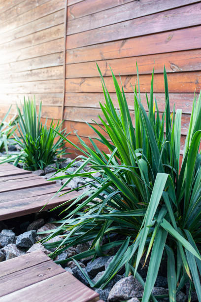 istock Stylish inner yard with grey rocks and green plants. 2176892212