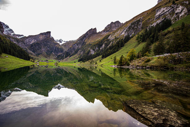 Seealpsee is a lake in the Alpstein range of the canton of Appenzell Innerrhoden, Switzerland. At an elevation of 1,143.2 m, the surface area is 13.6 hectares (34 acres). The lake can be reached by foot from Wasserauen or from Ebenalp. It is a popular tourist destination. A network of routes around Ebenalp connects Seealpsee with other notable sights in the Appenzell Alps, such as the Wildkirchli and Säntis. The Seealpsee provides hydroelectric power and drinking water to the town of Appenzell through the Kraftwerk Seealpsee-Wasserauen [de], which is run by the Feuerschaugemeinde.