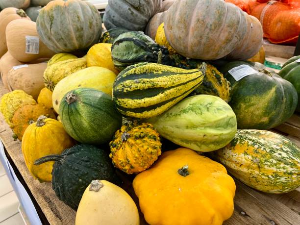 istock Colorful decorative pumpkins on a shelf in a store 2176894432