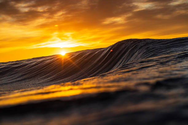 Wave breaking in the ocean with dramatic golden light at sunrise