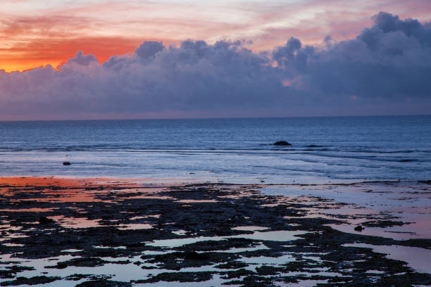 istock Amami island nature 2176904026