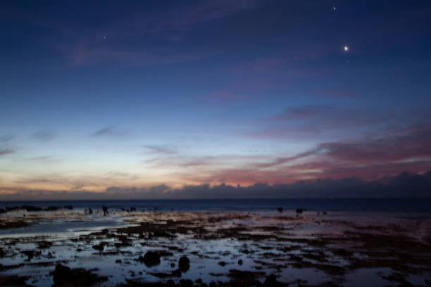 istock Amami island nature 2176906309