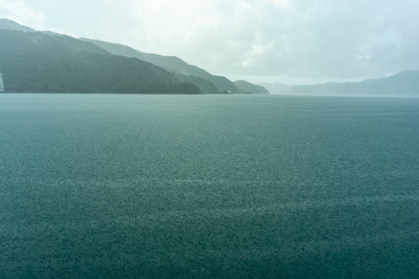 水の島奄美の自然