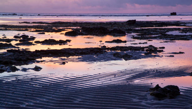 istock Amami island nature 2176913440
