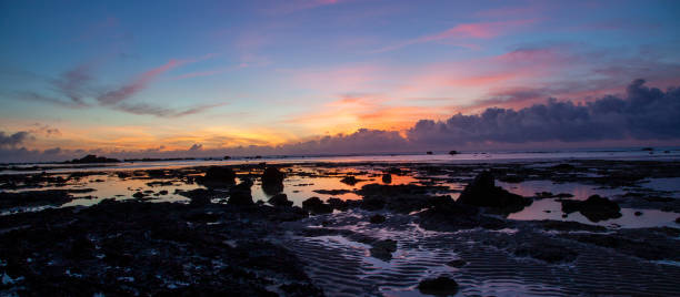 istock Amami island nature 2176913869