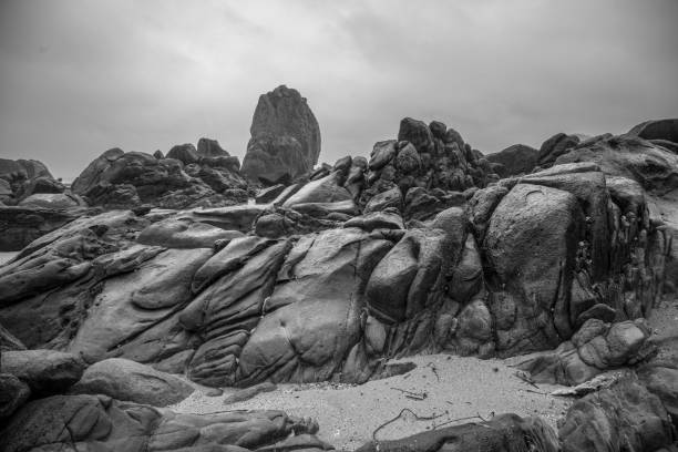 奄美、水の島、自然、風景、サンゴ礁の海