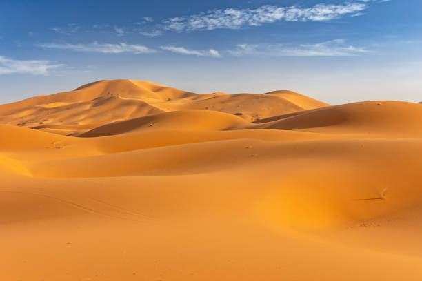 istock Landscape ofsand dunes in Sahara desert. Morocco. 2176916286