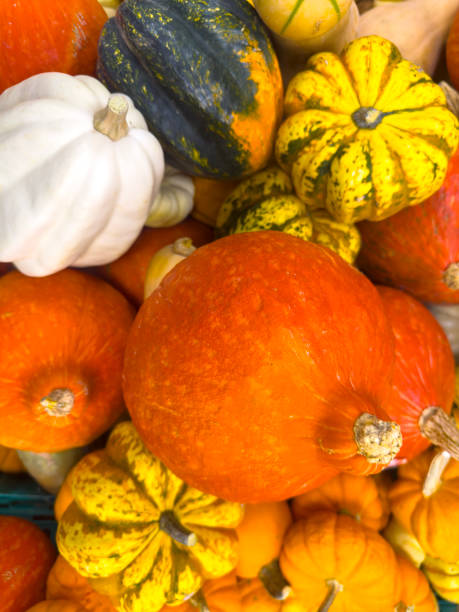 Colorful pumpkins