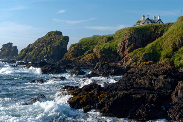 St. Abbs head national nature reserve