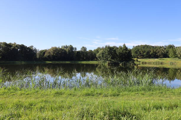 istock Laon - Gaul Laonnoise pond 2176932545