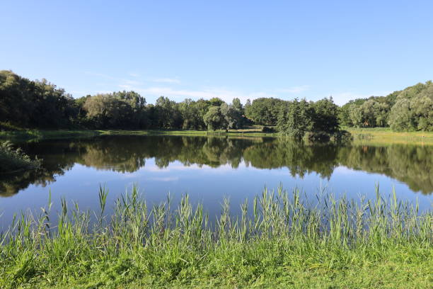 istock Laon - Gaul Laonnoise pond 2176932568