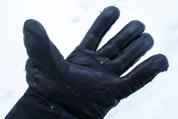 snowflakes on a hand in a black glove