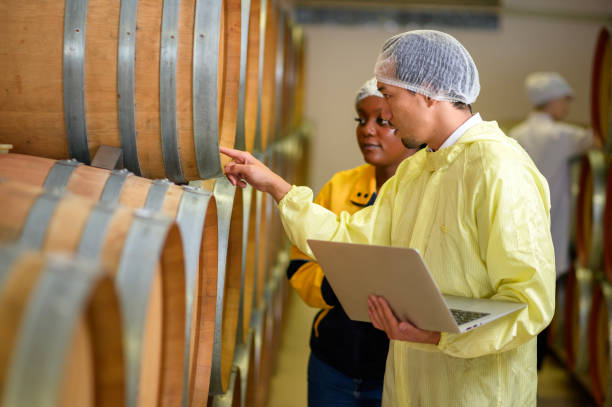 istock Professional winemaker controlling wine making process and quality at winery factory 2176937592