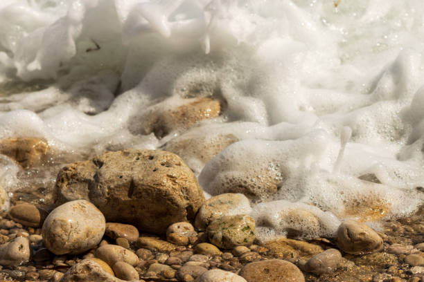 This image captures a close-up view of a shoreline with water foaming as it washes over an assortment of rocks and pebbles. The focus is on the interaction between the water and the stones, capturing the momentary beauty of natures movements. The sunlight reflects off the wet surfaces, highlighting textures and colors ranging from light tan to dark brown. This background is perfect for nature-themed projects, coastal landscapes, or as a dynamic and natural backdrop for various creative uses.