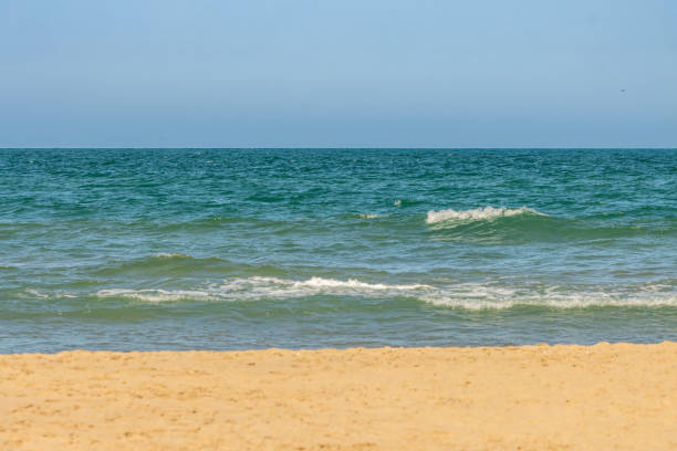 This image shows a tranquil beach scene with the shoreline in the foreground, gentle waves in the middle, and a clear blue sky above. The sand appears smooth and golden, while the sea is a gradient of green to blue hues. There are no visible people or man-made structures, which adds to the serenity of the scene. This background is perfect for nature-themed projects, travel destinations, or as a serene and picturesque backdrop for various