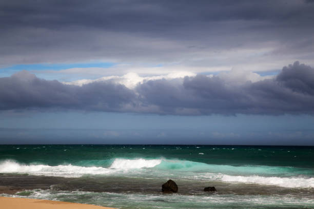 istock The nature of Amami Oshima is creative 2176938823