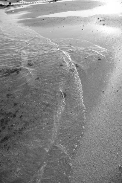 istock The nature of Amami Oshima is creative 2176940244