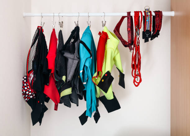 istock Dog clothes closet. 2176953419
