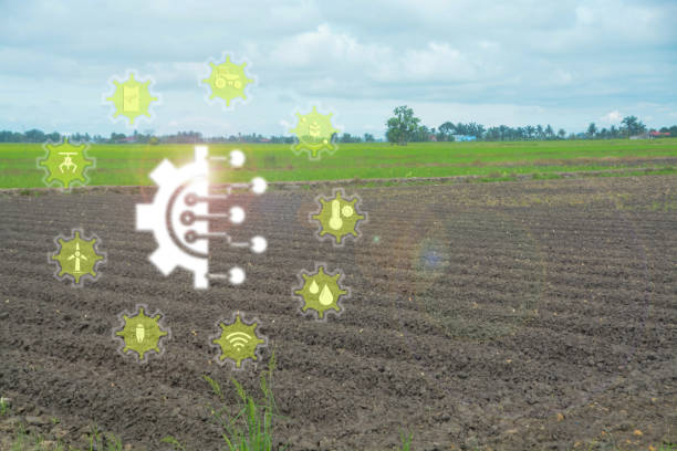 istock The image showcases the intersection of technology and agriculture, demonstrating how innovation can improve farming practices and ensure food security. 2176955959