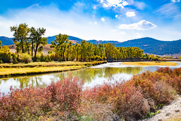 Autumn leaves on still river in Montana near Missoula and Helena Montana in northwestern USA of North America.
