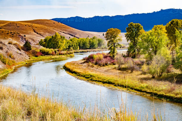 istock Autumn leaves on still river in Montana 2176957291